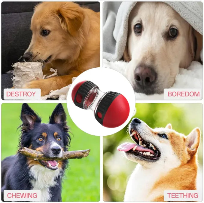 Balle Distributrice de Nourriture pour Chien
