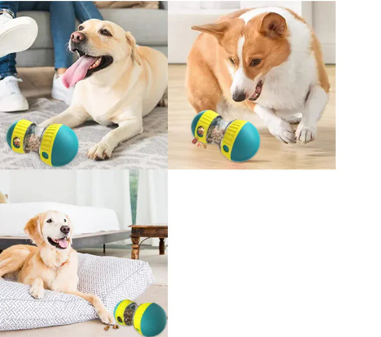 Balle Distributrice de Nourriture pour Chien