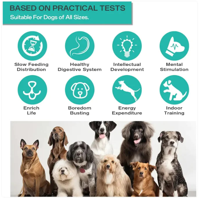 Balle Distributrice de Nourriture pour Chien