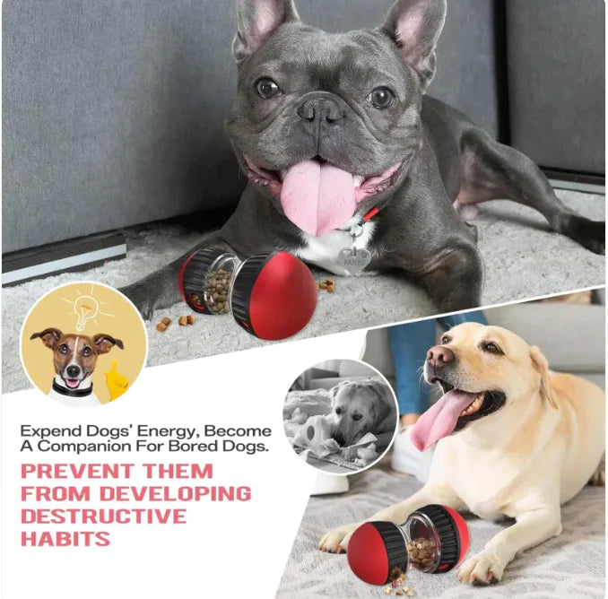Balle Distributrice de Nourriture pour Chien